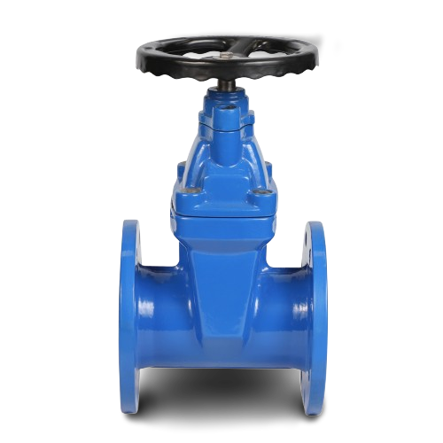 Cast Iron Gate Valve