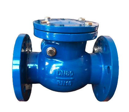 Swing Check Valve